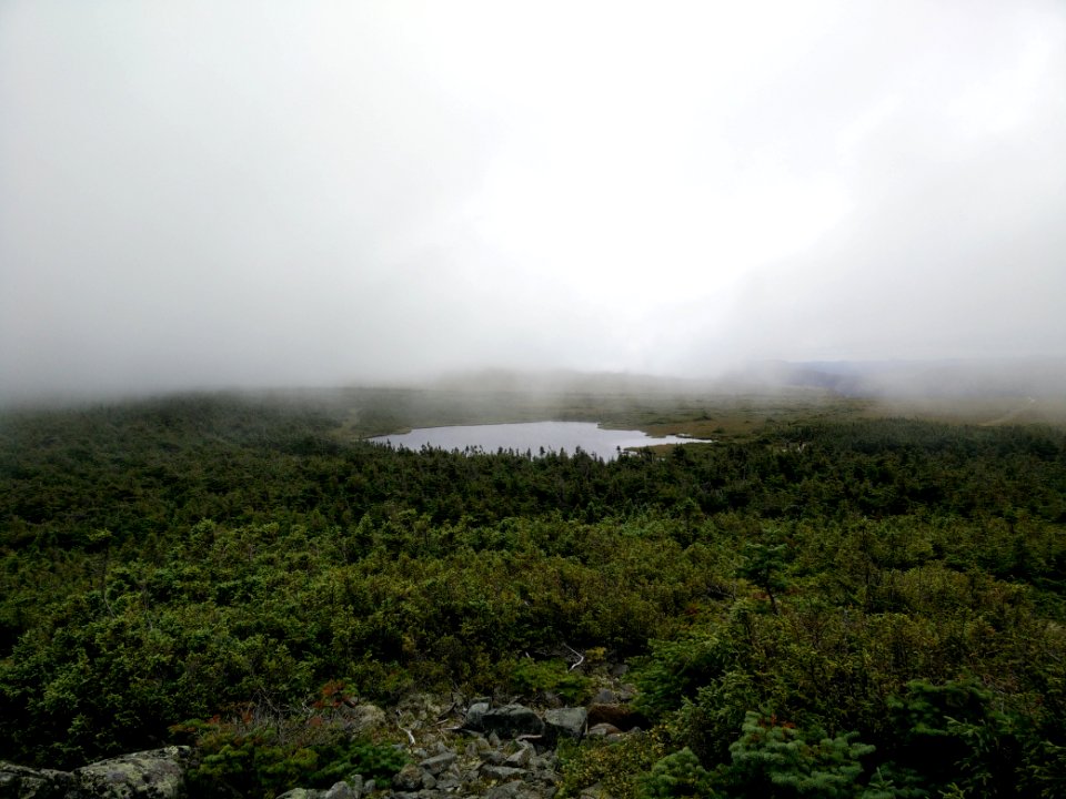 059 - Parc national de la Gaspésie : Mont Albert