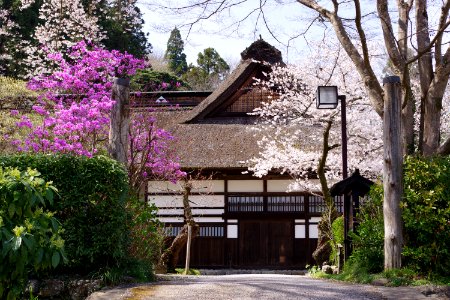 Spring temple