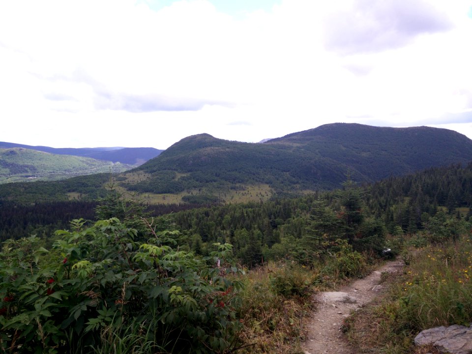 002 - Parc national de la Gaspésie : Mont Ernest Laforce
