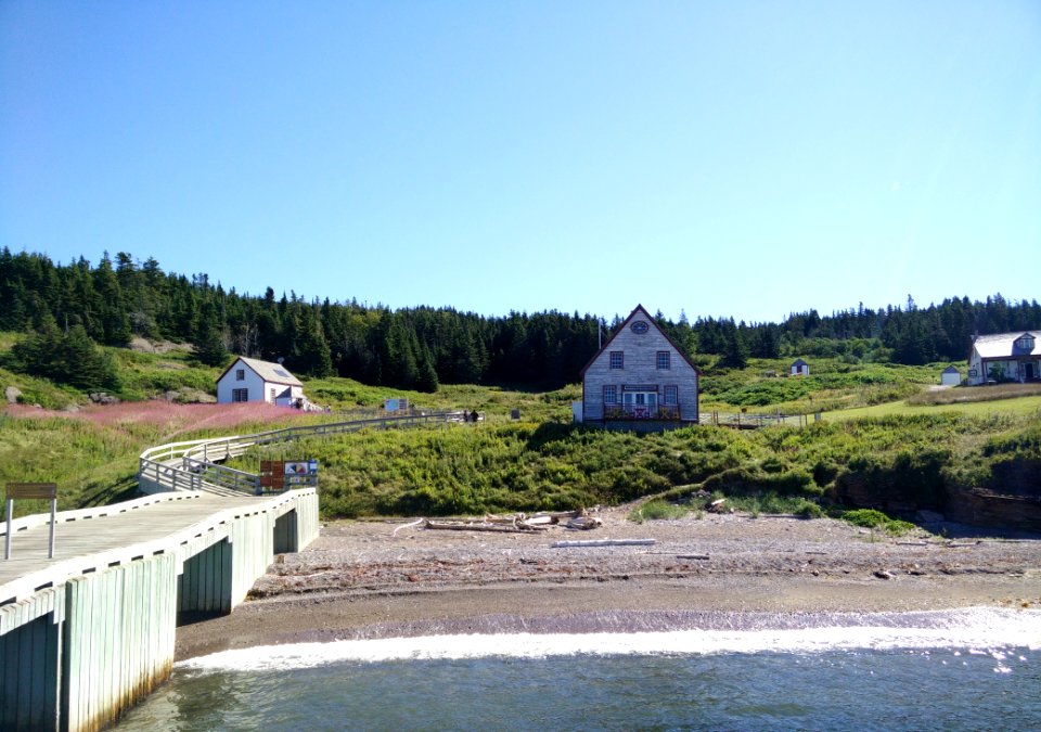 174 - Parc national de l'Île-Bonaventure-et-du-Rocher-Percé