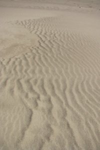 sand texture 1 photo
