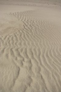 sand texture 1