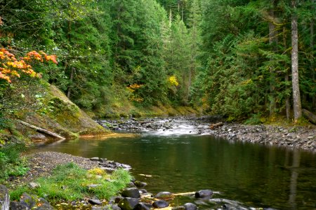 Salmon River and Forest-Mt Hood photo