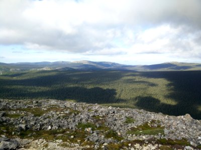 100 - Parc national de la Gaspésie : Mont Richardson