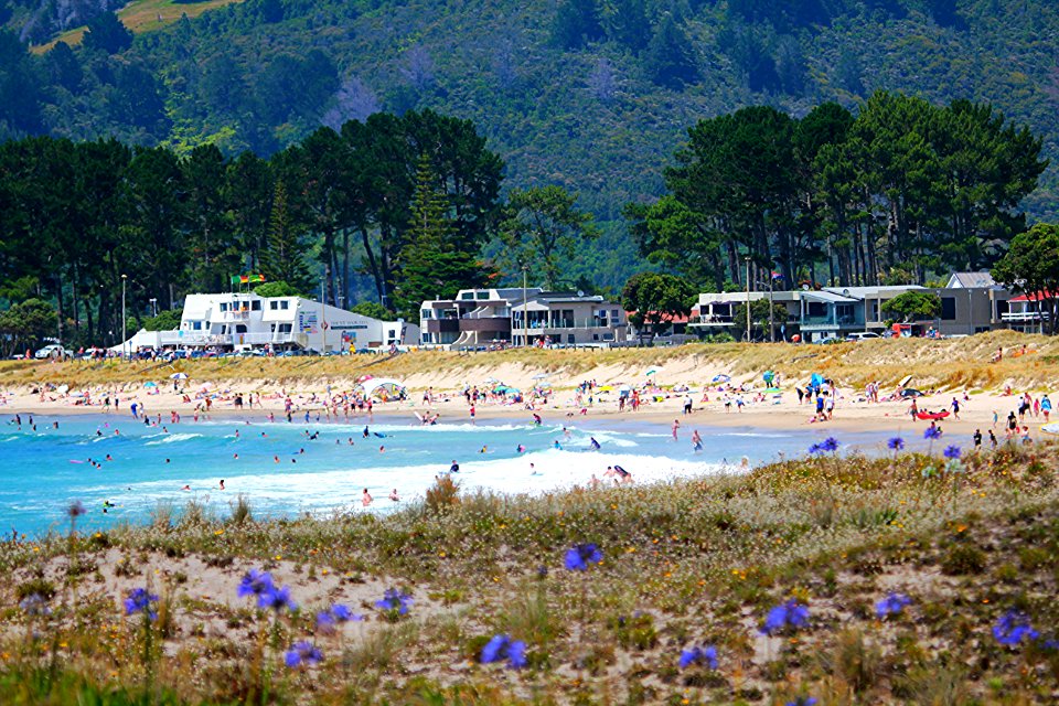 kiwi summer bliss sun sand sea and surf