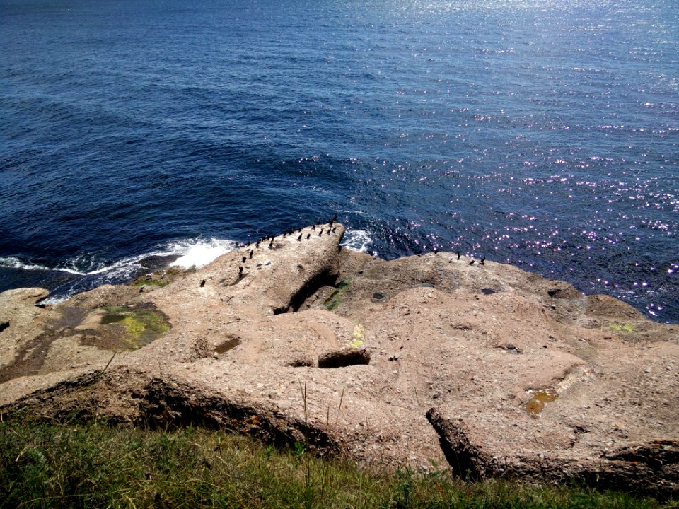 189 - Parc national de l'Île-Bonaventure-et-du-Rocher-Percé : Sentier Chemin-du-Roy