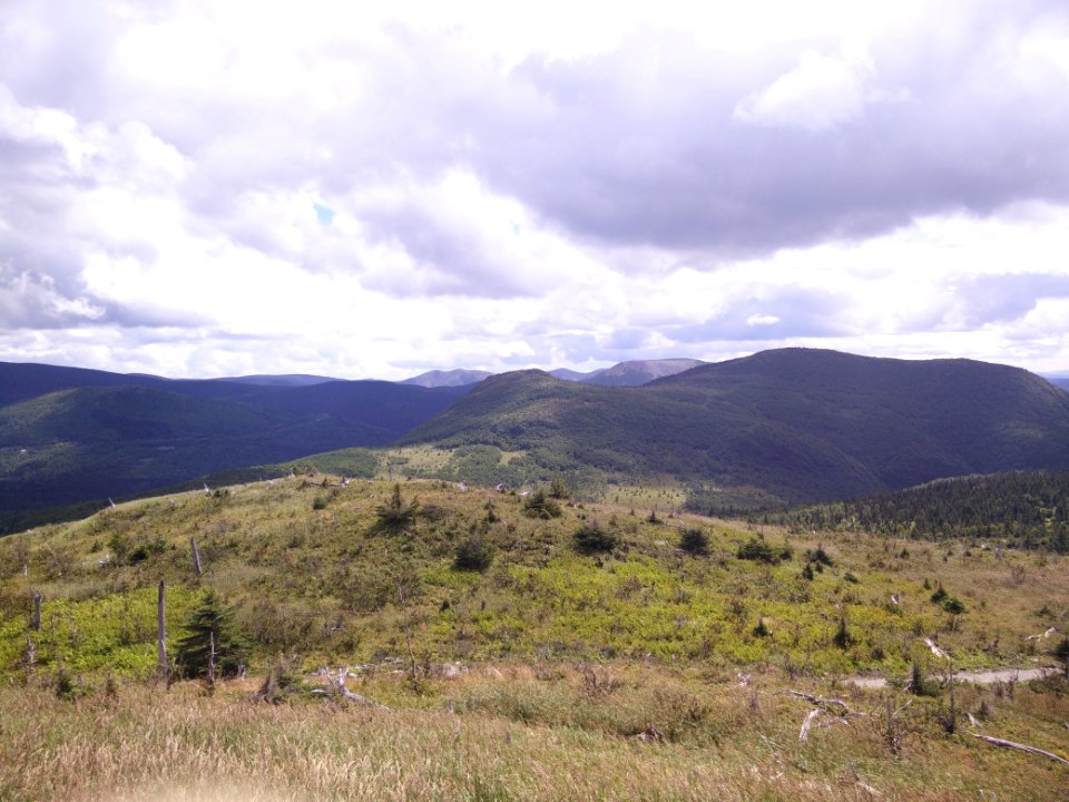 006 - Parc national de la Gaspésie : Mont Ernest Laforce