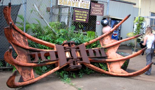 sugar cane claw photo