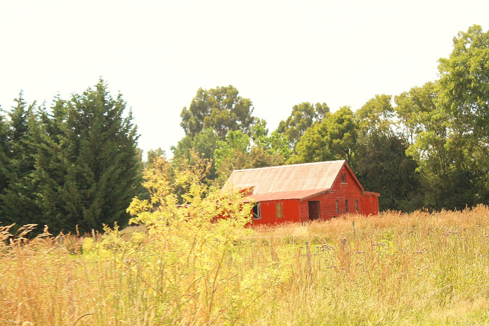 IMG 0700 (2)