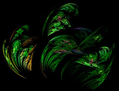 ferny fractal photo