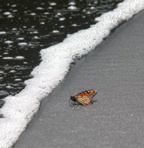 life and death