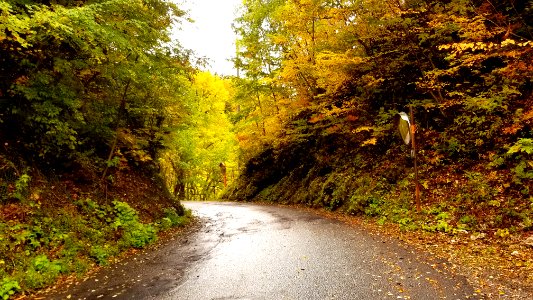 autumn road photo