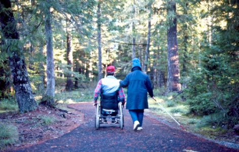 Handicapped Couple using Accessible Trail- Mt Hood photo