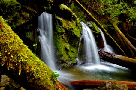 Three Falls Waterfall, Olympic National Forest photo