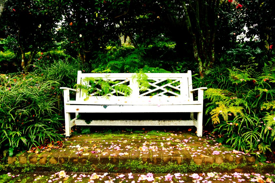 Rest A While
