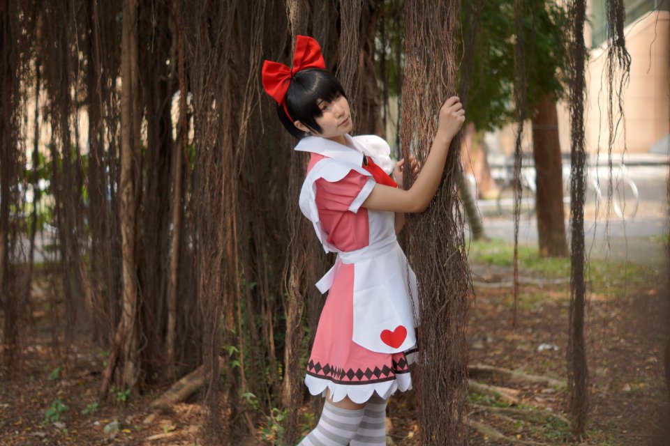 DSC04105