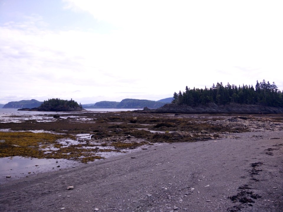 263 - Parc national du Bic : Le Chemin-du-Nord