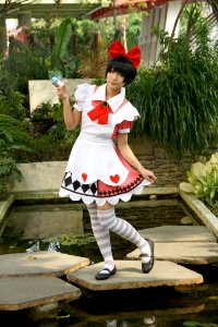 DSC08208