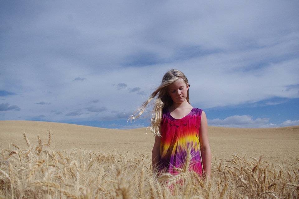 Pensive sky blue field