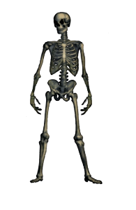 ANGRY SKELETON MAN ORTON FINAL