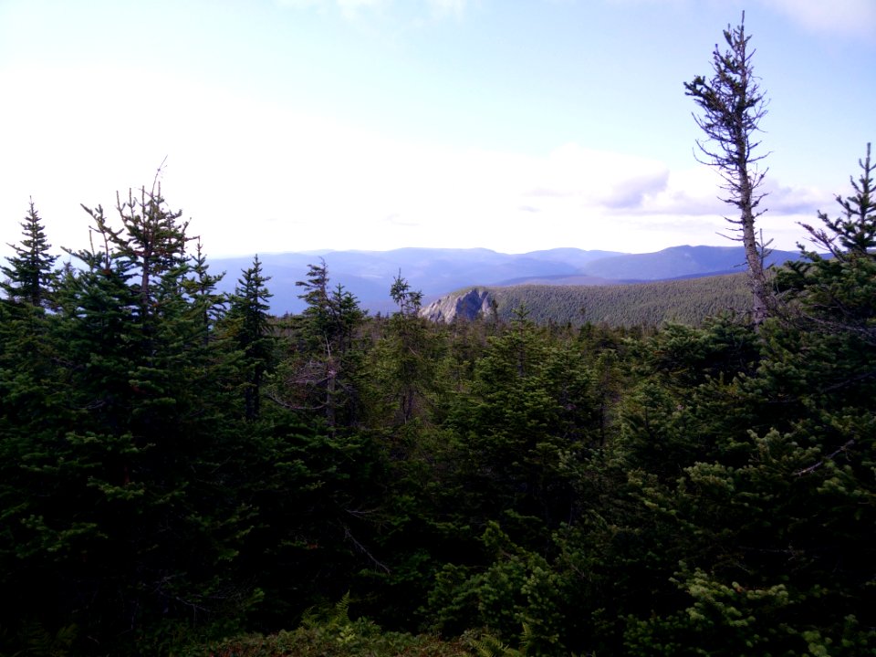 093 - Parc national de la Gaspésie : Mont Richardson