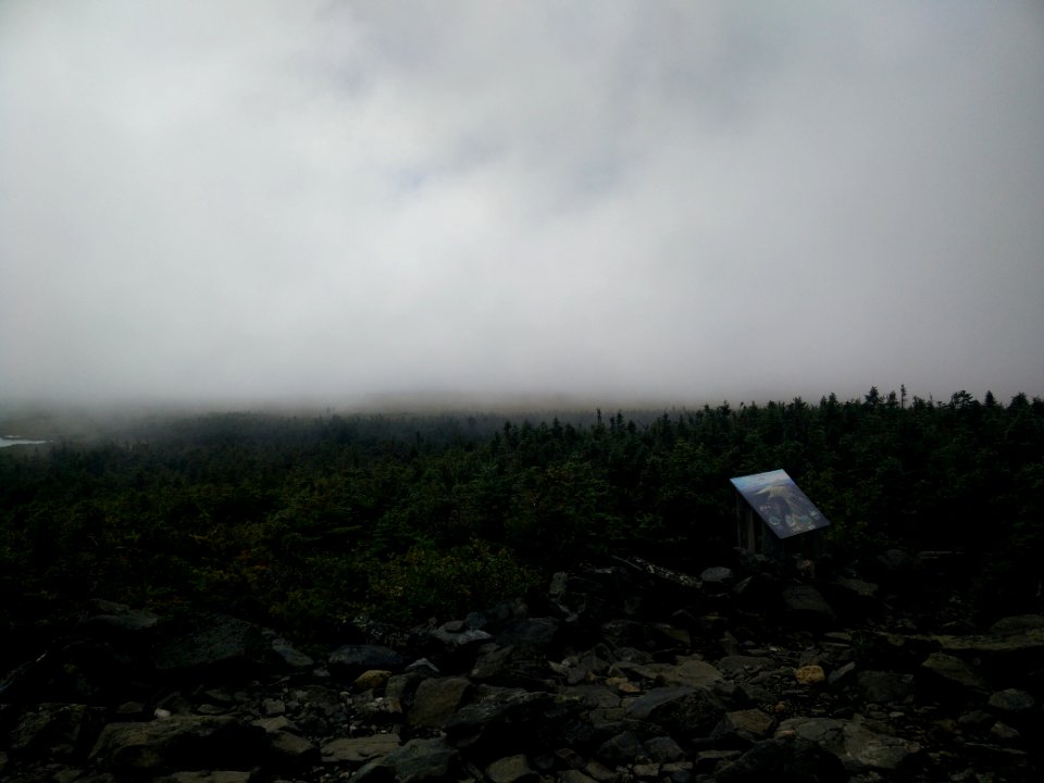 047 - Parc national de la Gaspésie : Mont Albert