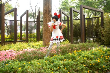 DSC08238