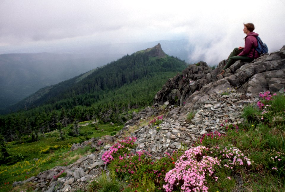 Woman Hiker in Wildflower Field - Unknown