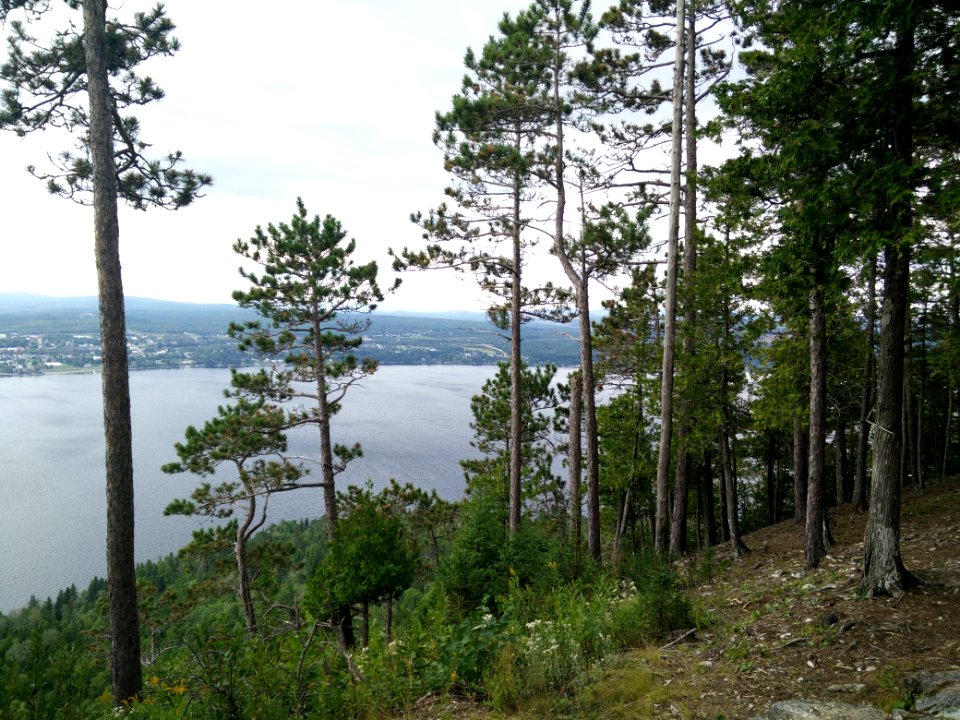 287 - Parc national du Lac-Temiscouata : Montagne du Fourneau