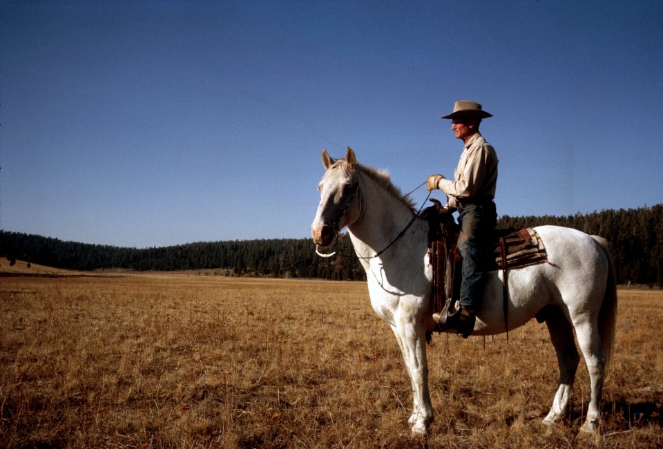 Malheur National Forest, rancher riding his horse  1965