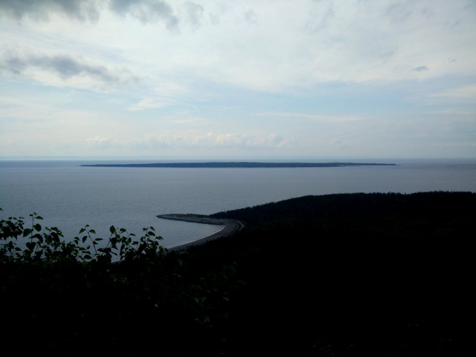 278 - Parc national du Bic : La Pinède