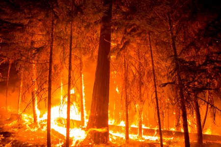 Umpqua National Forest Fires, 2017