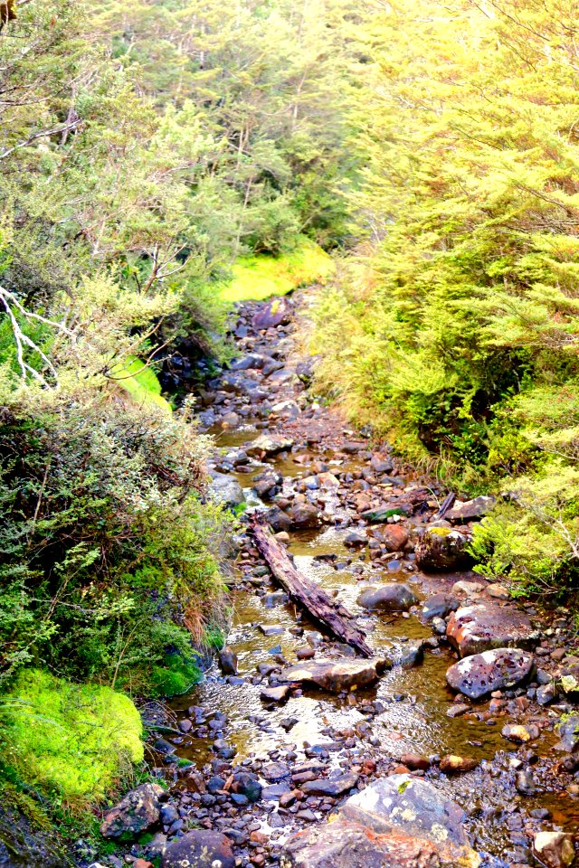 Tongariro National Park
