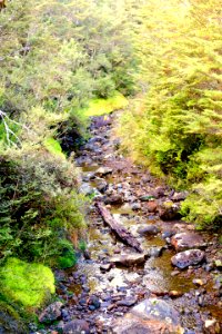 Tongariro National Park photo