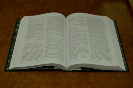 DSC 0061