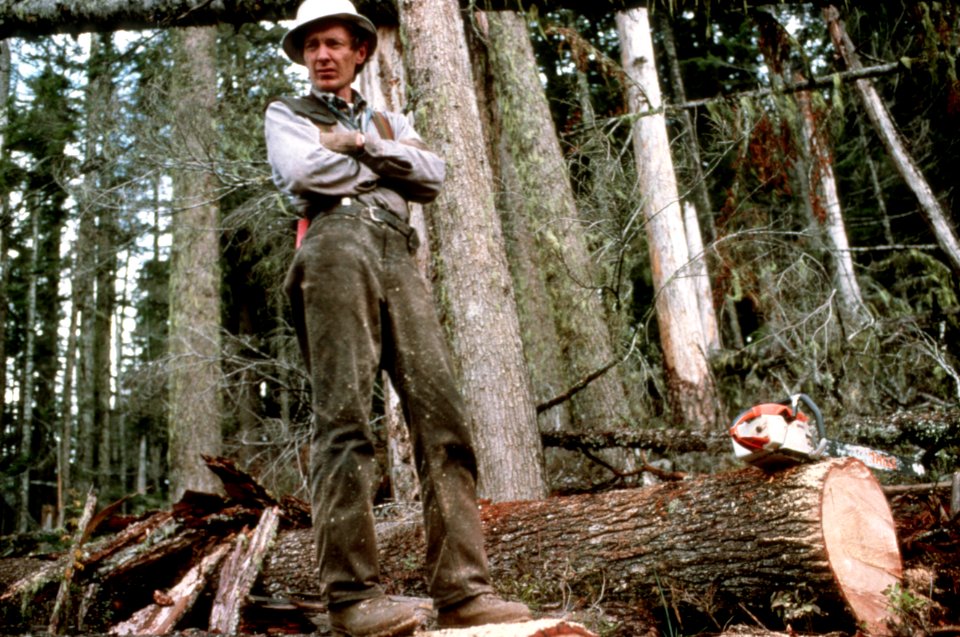 Gifford Pinchot National Forest, timber harvest operations-3.jpg