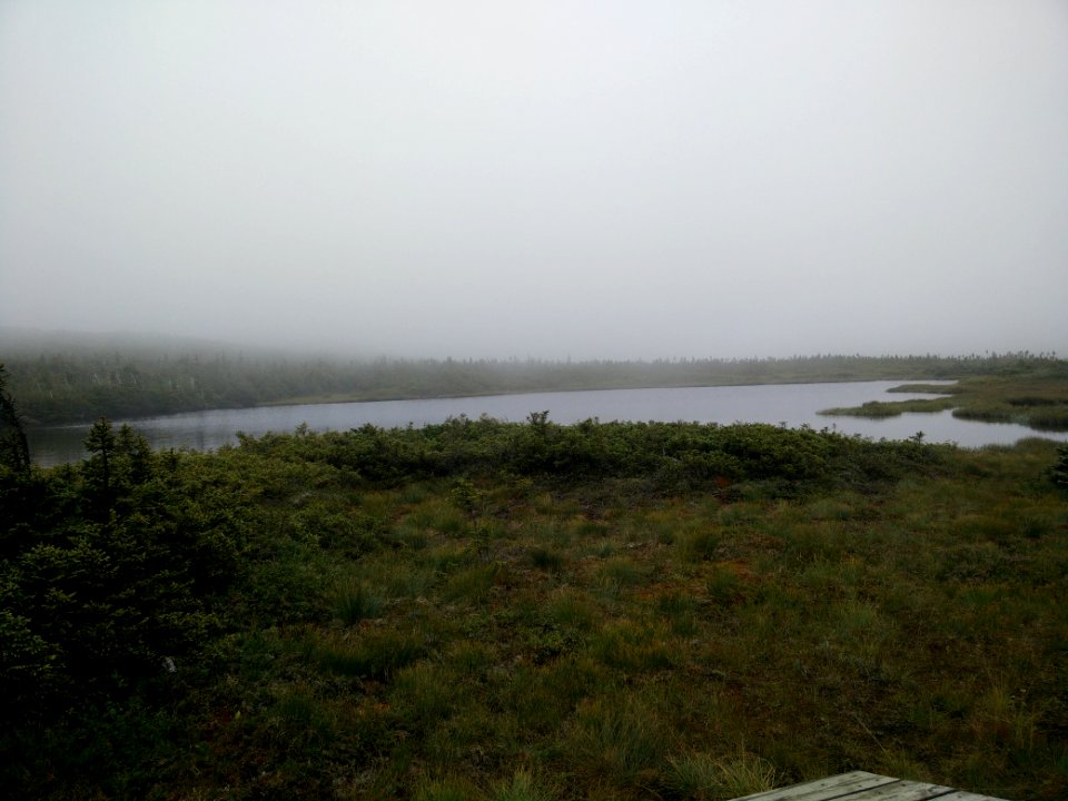 063 - Parc national de la Gaspésie : Mont Albert