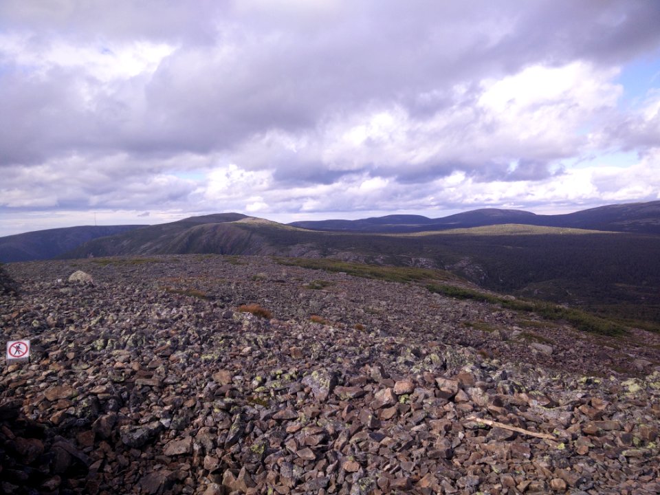 037 - Parc national de la Gaspésie : Mont Xalibu