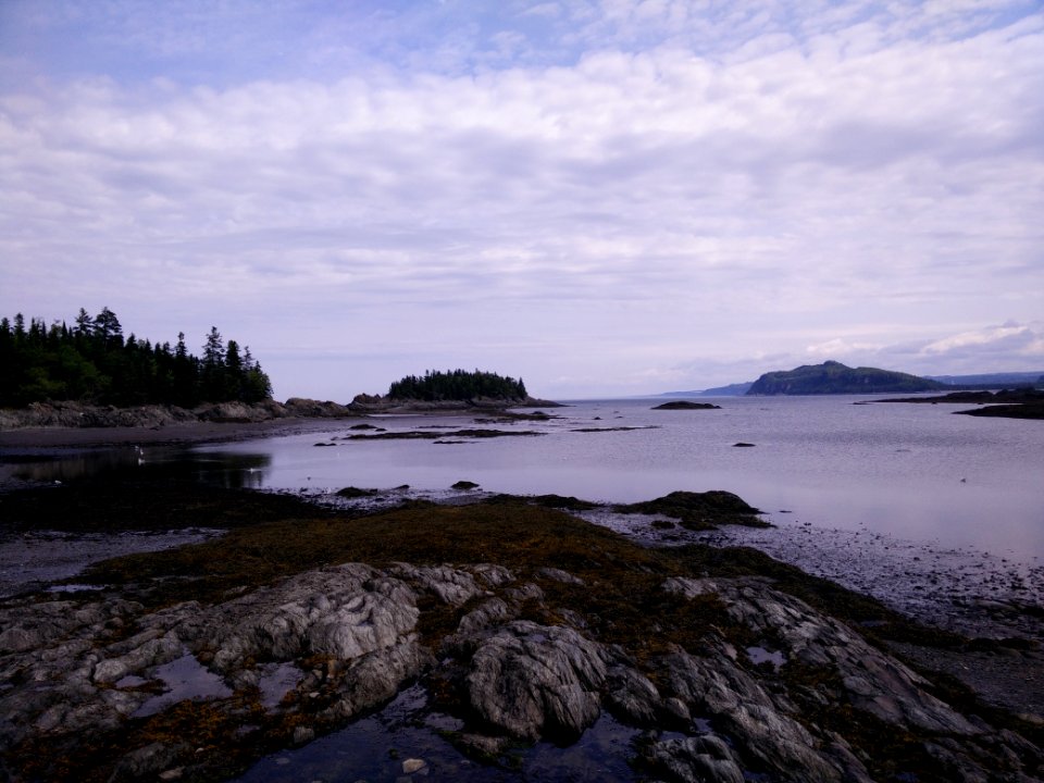 260 - Parc national du Bic : Le Chemin-du-Nord
