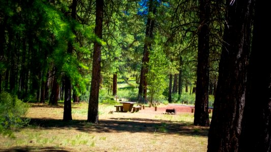 SMILING RIVER CAMPGROUND-DESCHUTES-104