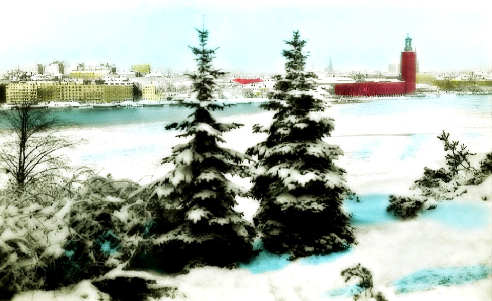 11233662456 c8e6a42f0d o CLEANED & ENHANCED
