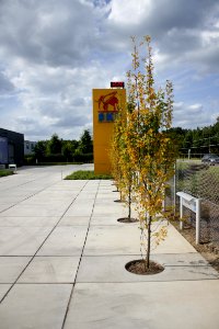 Eurodal bij SKP Beringen