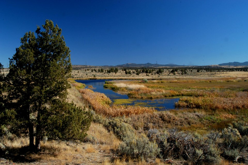 View of Rimrock Springs-Ochoco