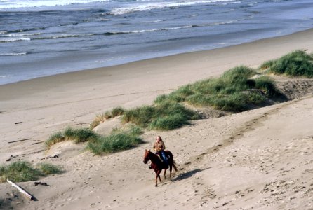 Horse rider on beach, Siuslaw National Forest.jpg photo