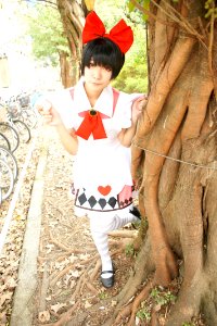 DSC08303