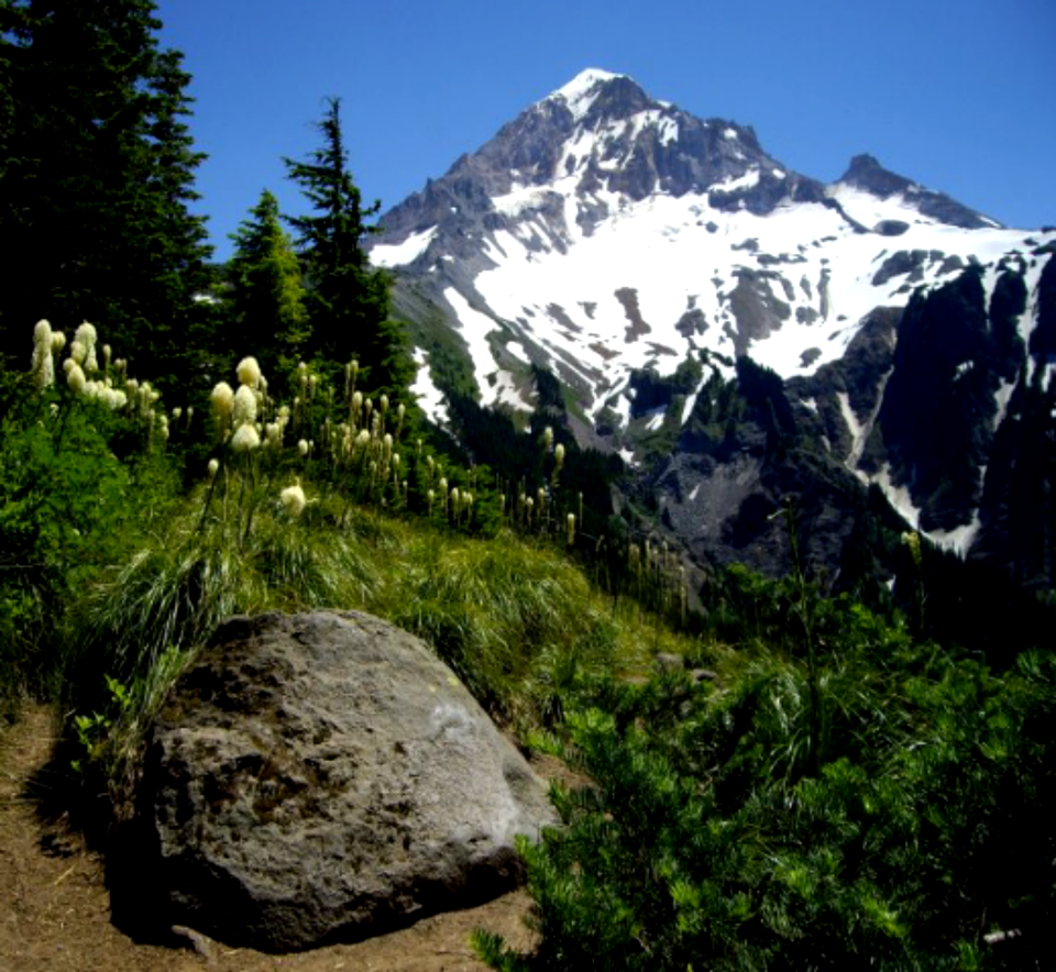 View of Mt Hood from McNeil Point Trail-Mt Hood
