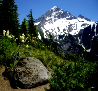 View of Mt Hood from McNeil Point Trail-Mt Hood photo