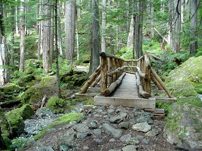 Lena Lake Trail Bridge, Olympic National Forest photo