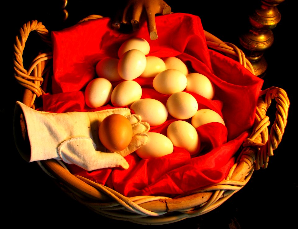 eggs in basket