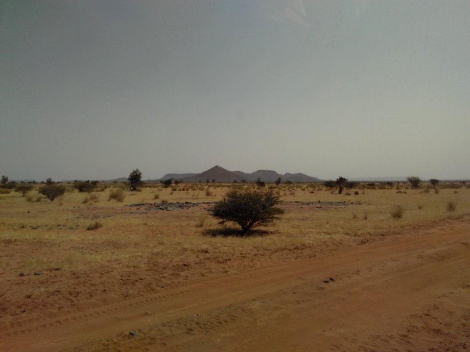 Dirt Road nach Musawwarat: Es grünt so grün!